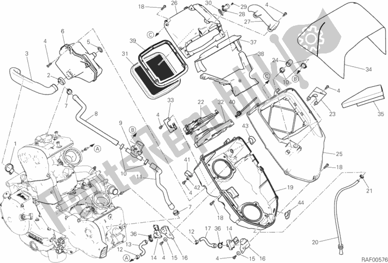 Alle onderdelen voor de Inname van de Ducati Multistrada 950 Brasil 2019